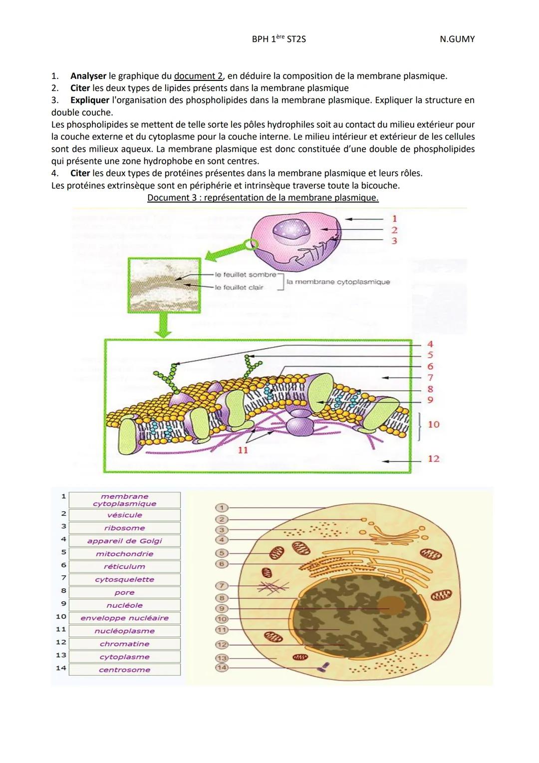 BPH 1ère ST2S
N.GUMY
Pôle 1: <<< organisation et fonctionnement intégré de l'être humain >>>
Chp 2: DE L'ORGANE AUX MOLECULES
Intro: L'êtr
