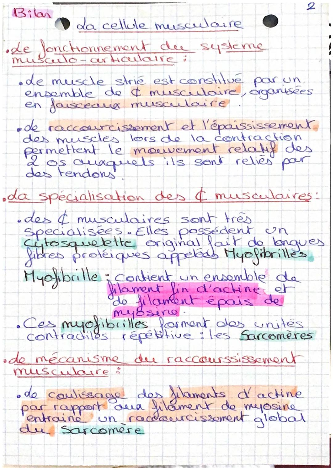 das muscles striés squelettiques sont les
muscles qui permettent la mise en
movement. du squelette d'un
4
organisme.
os sont
sont reliés par