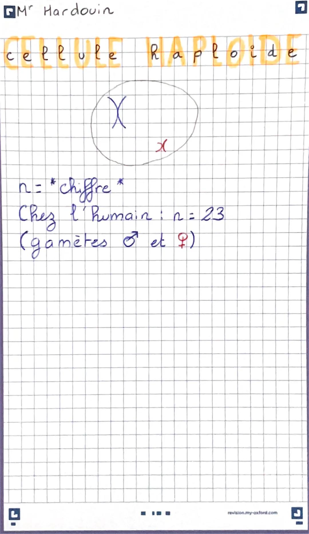 cellule diploide
Chromosomes homologues
1 du père
A de la mère
2n = * chiffre *
Chez l'humain: In = 46
revision.my-oxford.com Mr Hardouin