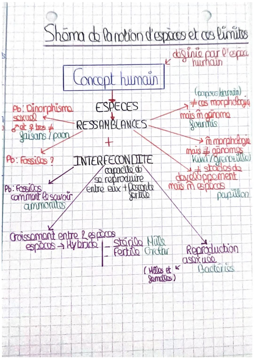 des différents nircour de la biodiversite
yer niveau - colle dos
calle des milieux de vie et des copoces qu'ils
hobergent - Biodiversité de