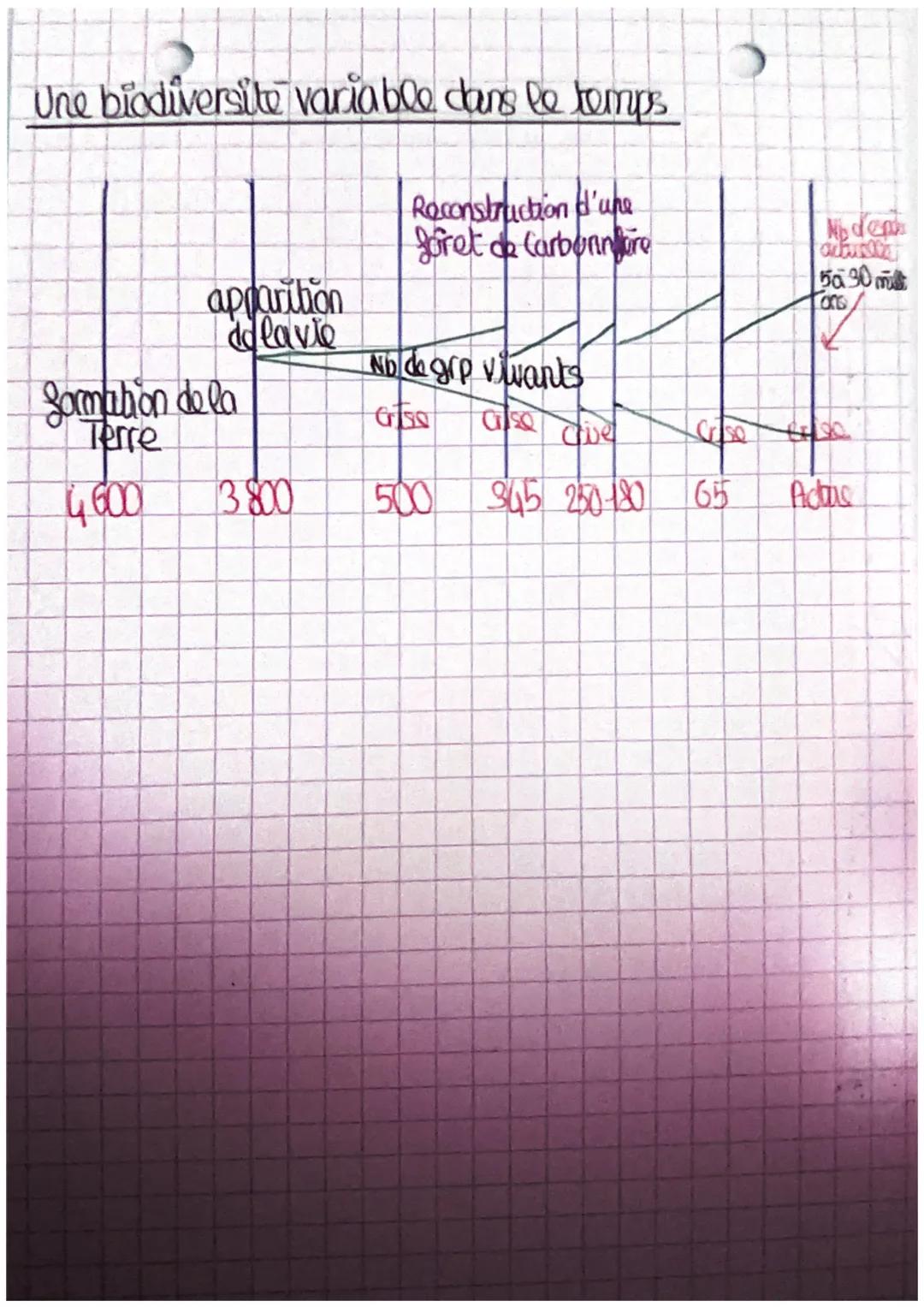 des différents nircour de la biodiversite
yer niveau - colle dos
calle des milieux de vie et des copoces qu'ils
hobergent - Biodiversité de