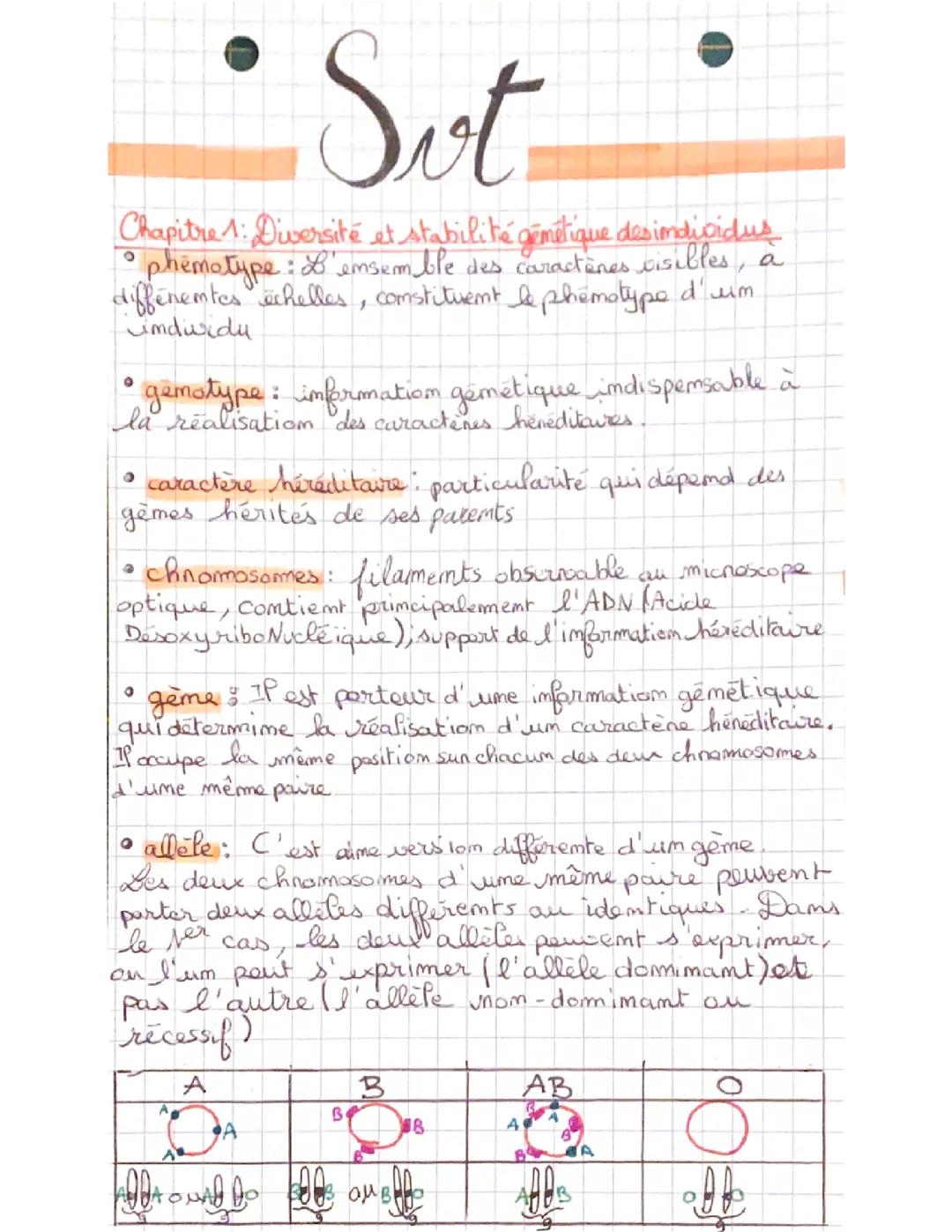 Diversité et stabilité génétique des individus