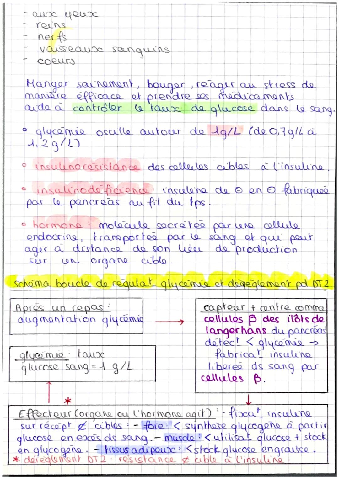 --
☆
☆
# Le diabete de type 2
-1-
6
+
+
Les sucres, aussi appelé glucides proviennent des
aliments que nous mangeons. Les sucres sont
d