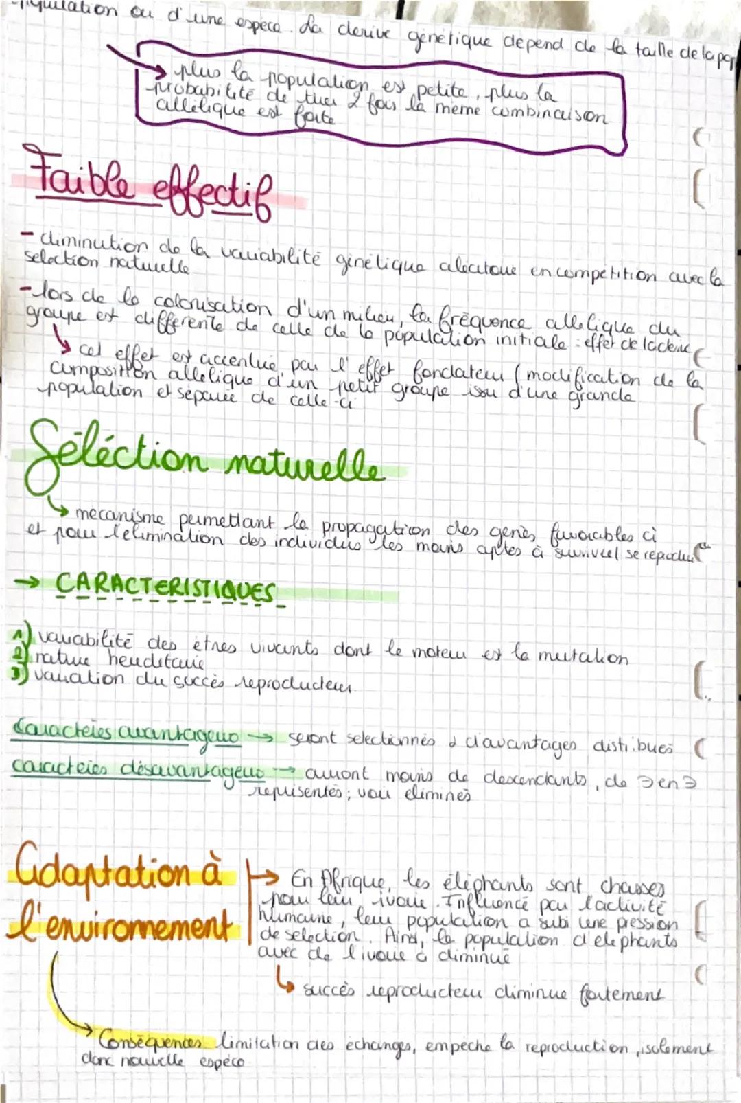 Hardy-Wemberg
LE MODELE
→ Me vou la frea allelig
des generations (alleles ↓ & culteles?)
population
ensemble d'individus de la mème espèce d