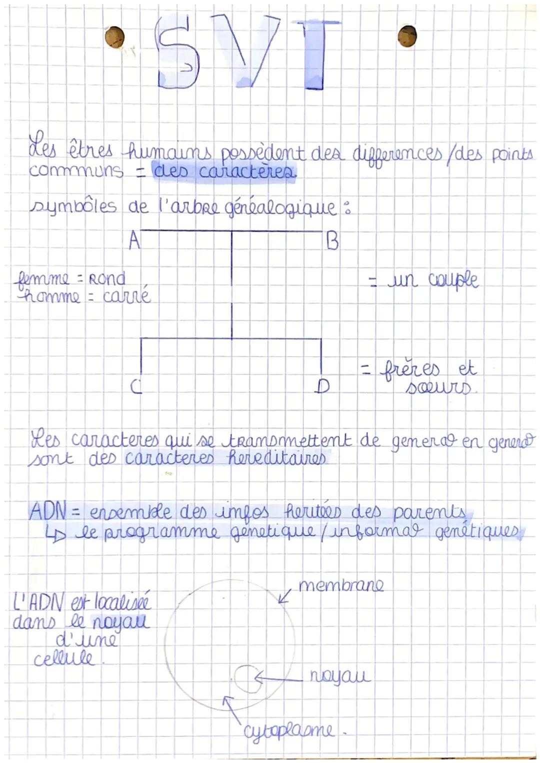 # SVT
Les êtres humains possèdent des differences/des points
communs des caractères
symboles de l'arbre généalogique:
A
B
lemme = Rond
h