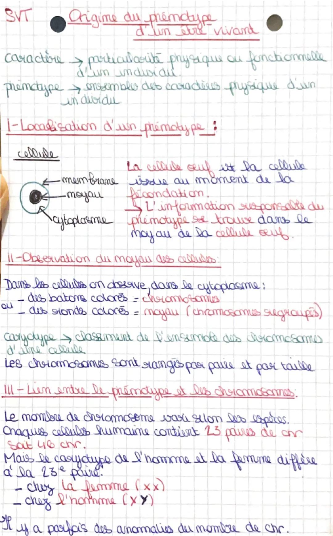Origine du phénotype et d’un individu