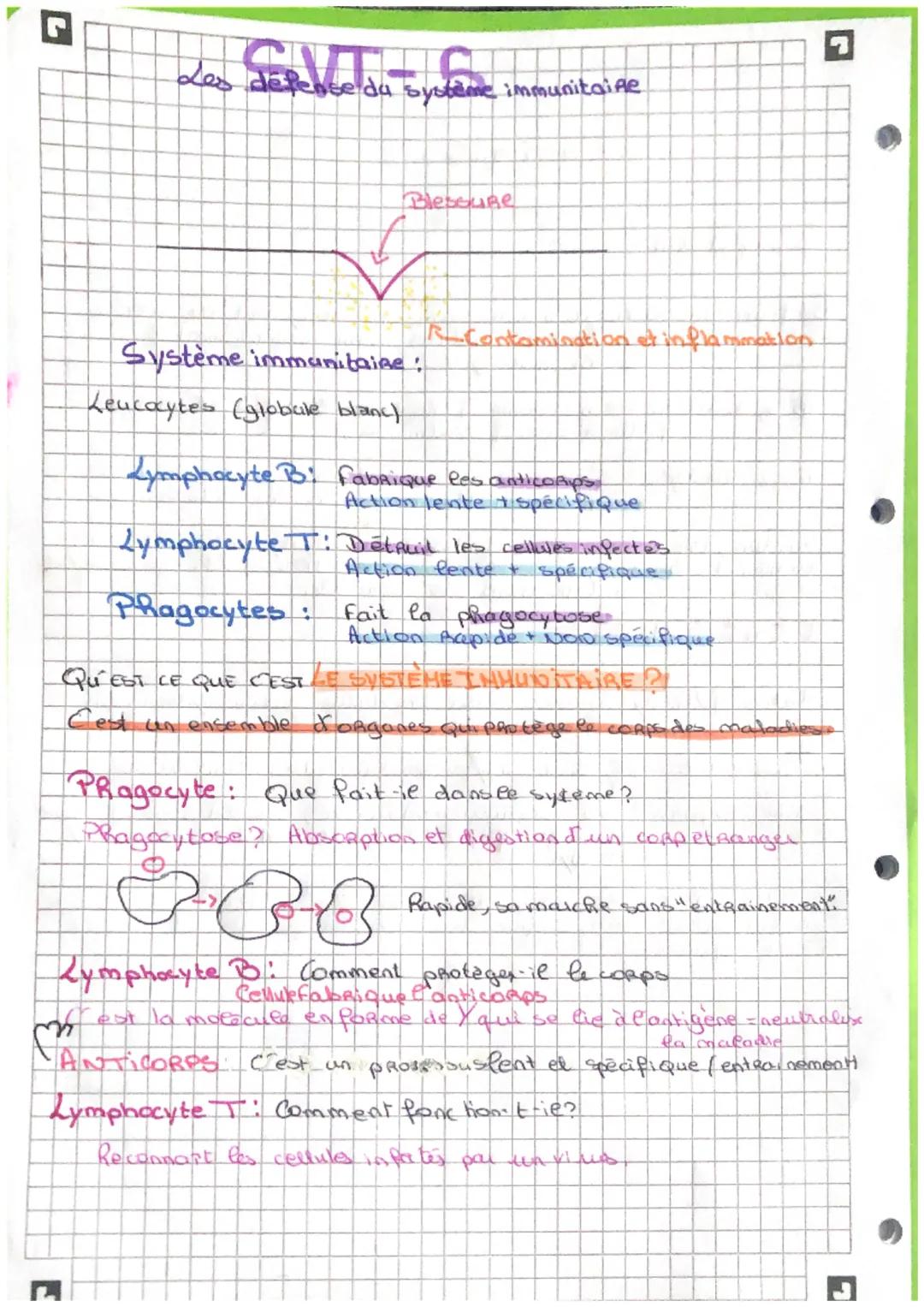 P
Les defence du systeme
барев эт
E
immunitaine
Blessure
Système immanitaire :
Leucocytes (globule blanc)
Rcontamination et inflammation
Lym