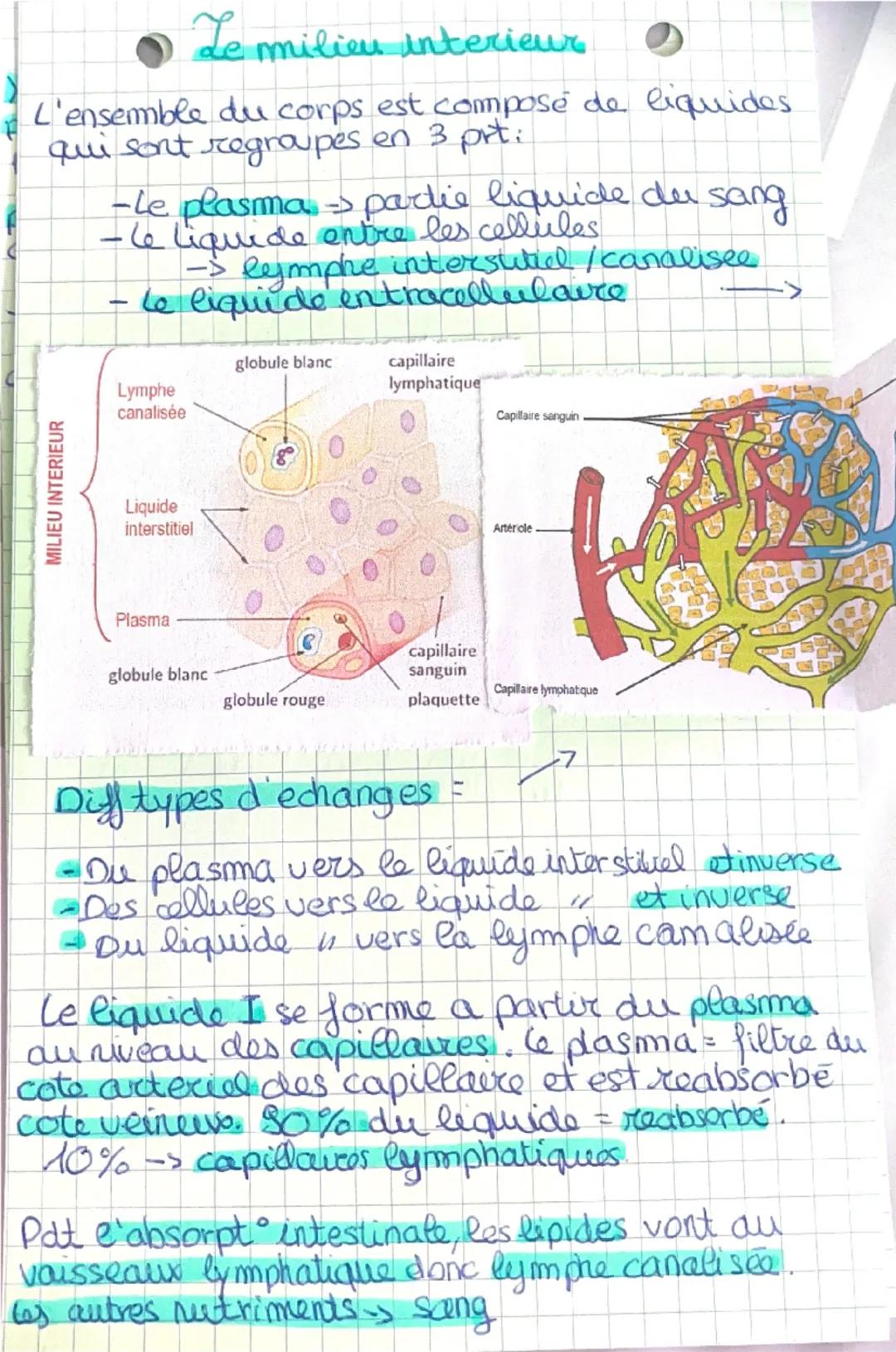 Le milieu intérieur