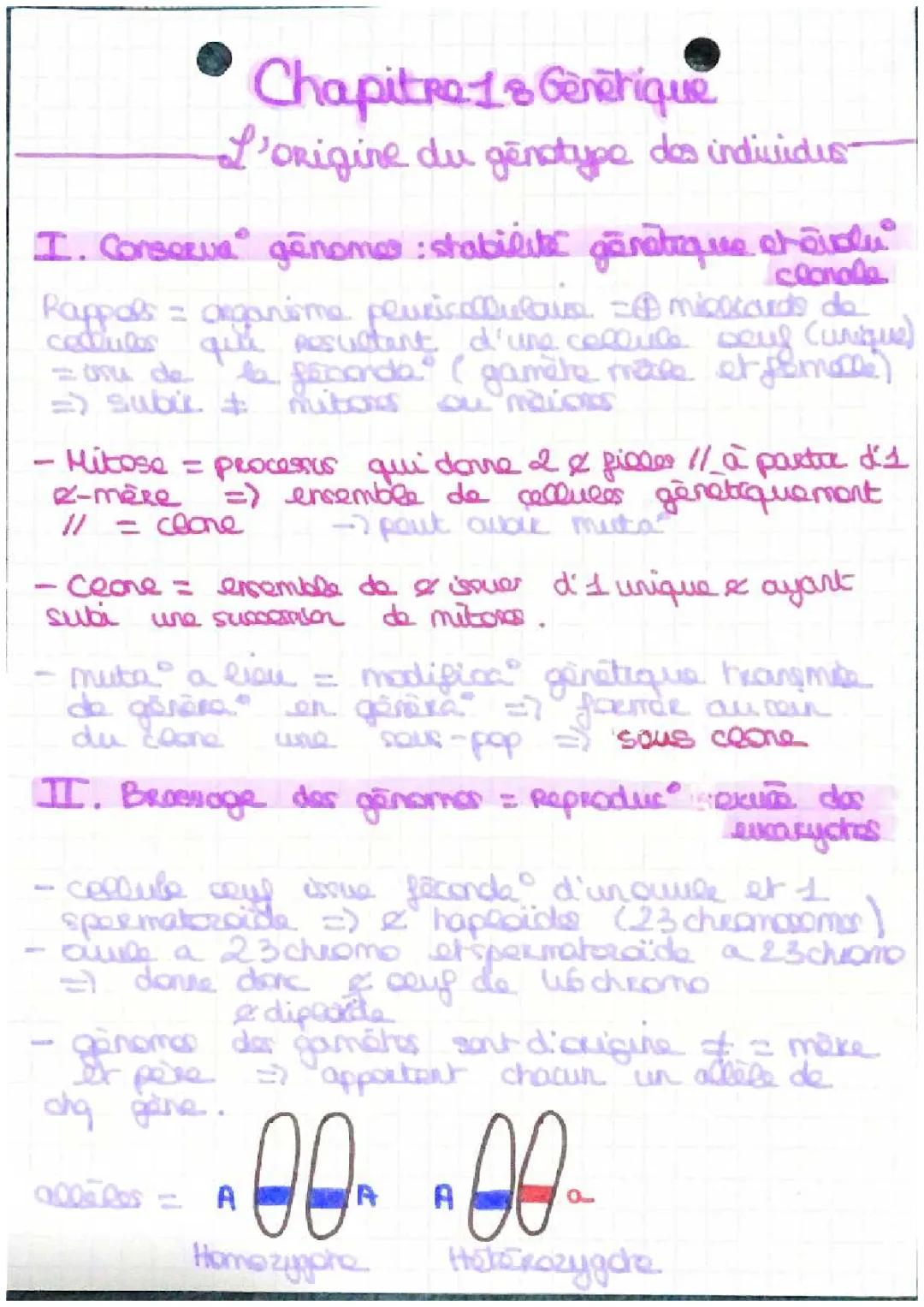 fiche de révision Spe svt terminal