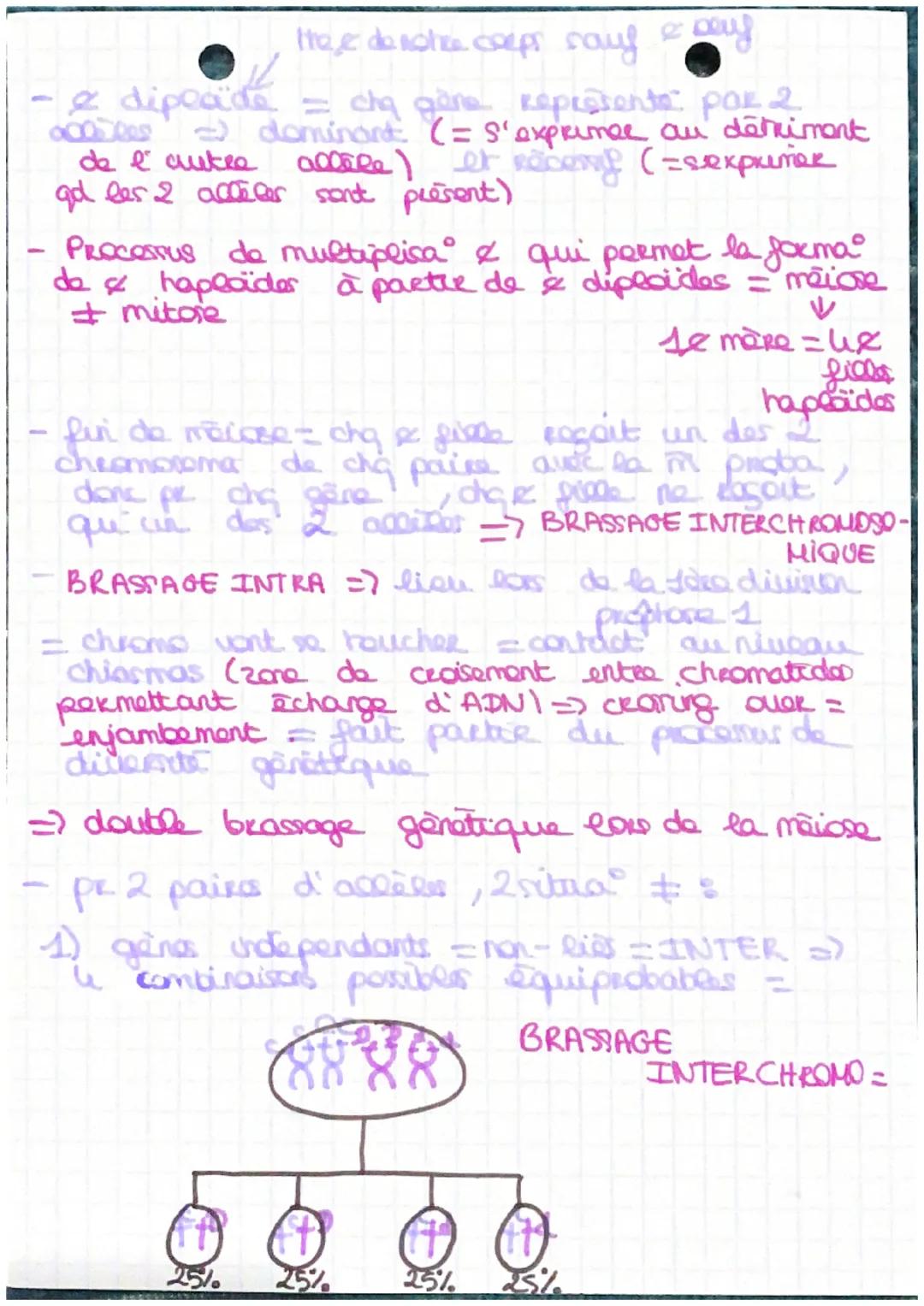 Chapitre 18 Genérique
L'origine du genotype des individus-
I. Conserva genomes: stabilite gănatiques et évolu
clonale
Rappels = arganisme pl