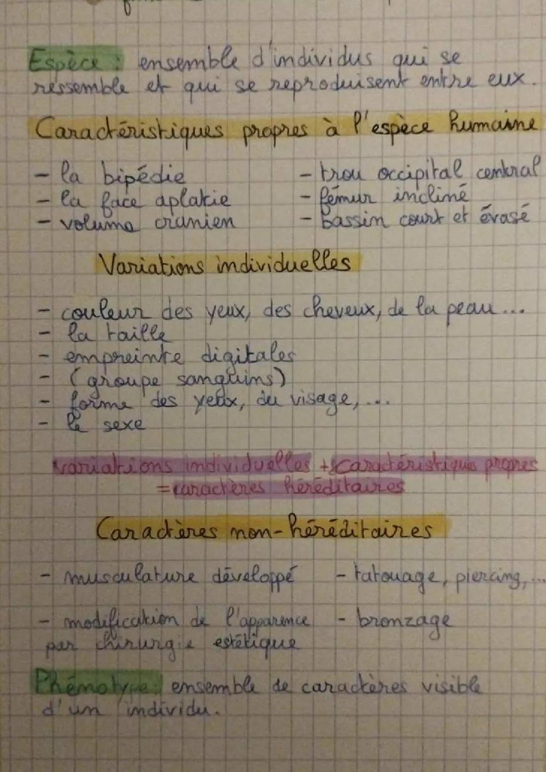 GÉNÉTIQUE - caractéristiques héréditaires et caryotypes