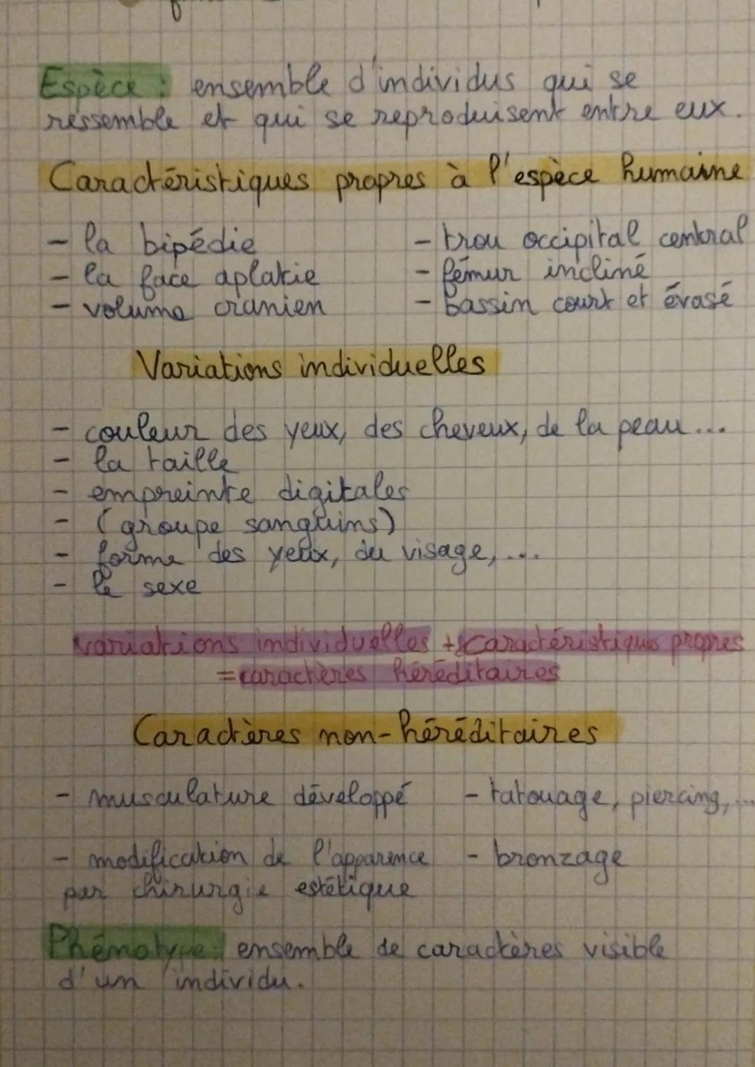 Espèce ensemble d'individus qui se
ressemble et qui se reproduisent entre eux.
Caractéristiques propres à l'espèce humaine
- la bipédie
la f
