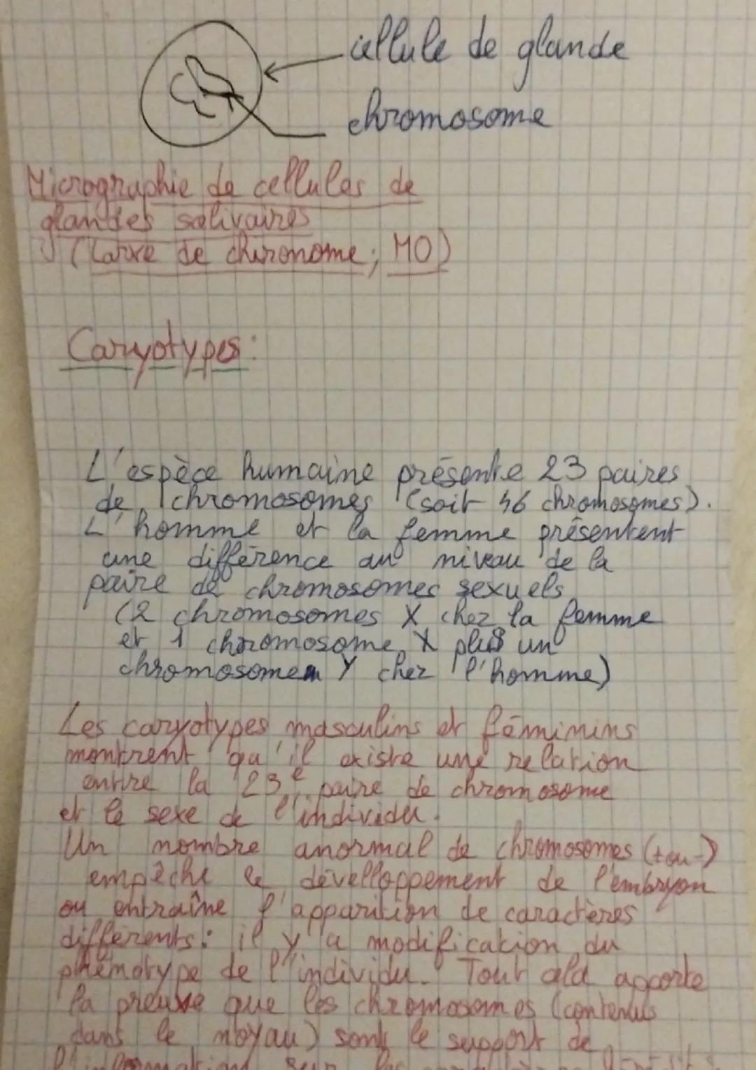 Espèce ensemble d'individus qui se
ressemble et qui se reproduisent entre eux.
Caractéristiques propres à l'espèce humaine
- la bipédie
la f