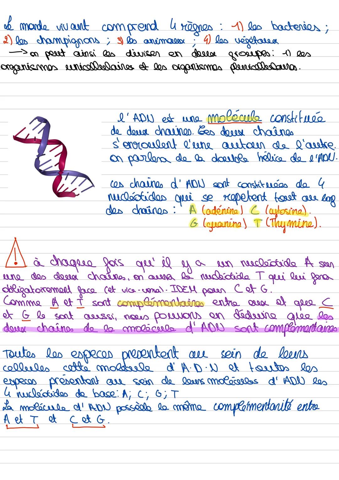 # l'organisme
les systèmes
les organes
les tessees
les cellules
les organites
-s organisme
pluricellulaère.
->la paraie cellulosique