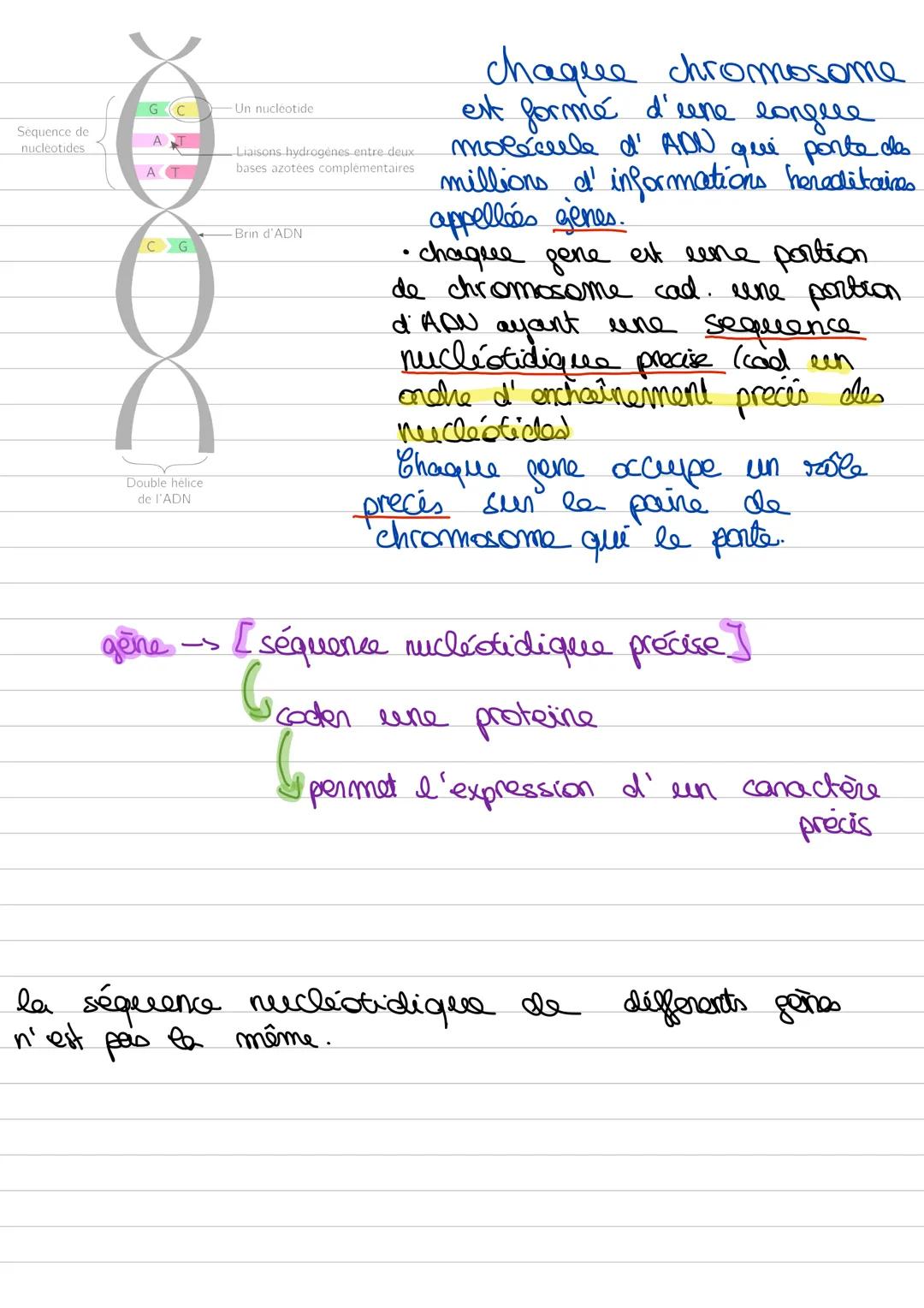# l'organisme
les systèmes
les organes
les tessees
les cellules
les organites
-s organisme
pluricellulaère.
->la paraie cellulosique