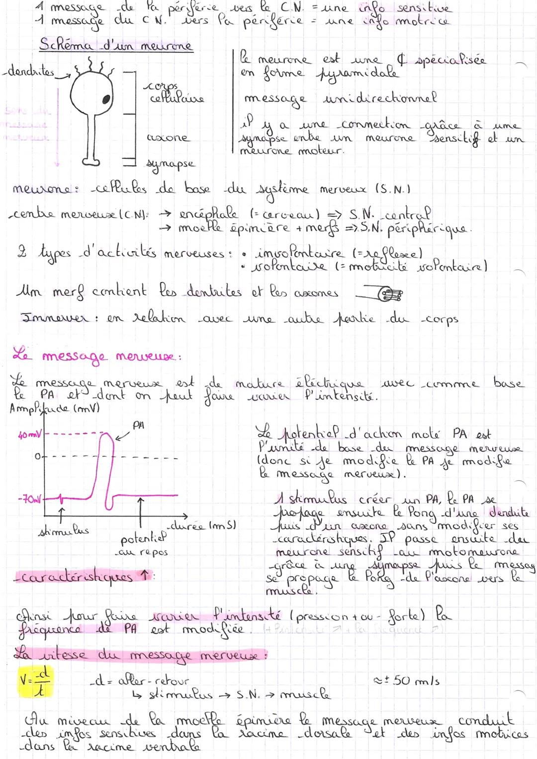 Chap
INTRO
Les réflecces
Notre organisme réalise en fermance des mouvements
par la contraction des muscles. De nombreuses répenses motrices