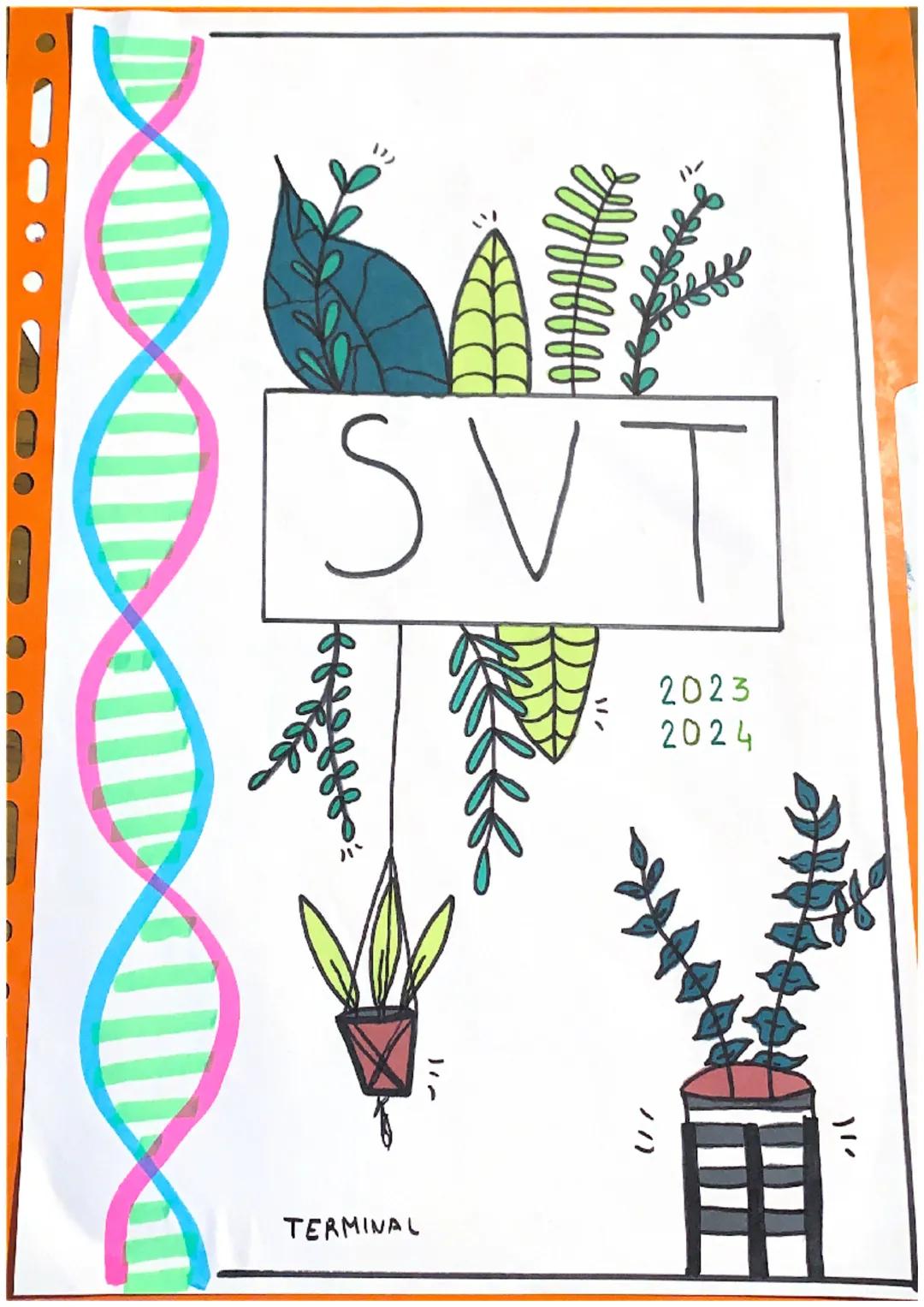 SVT
2023
2024
TERMINAL