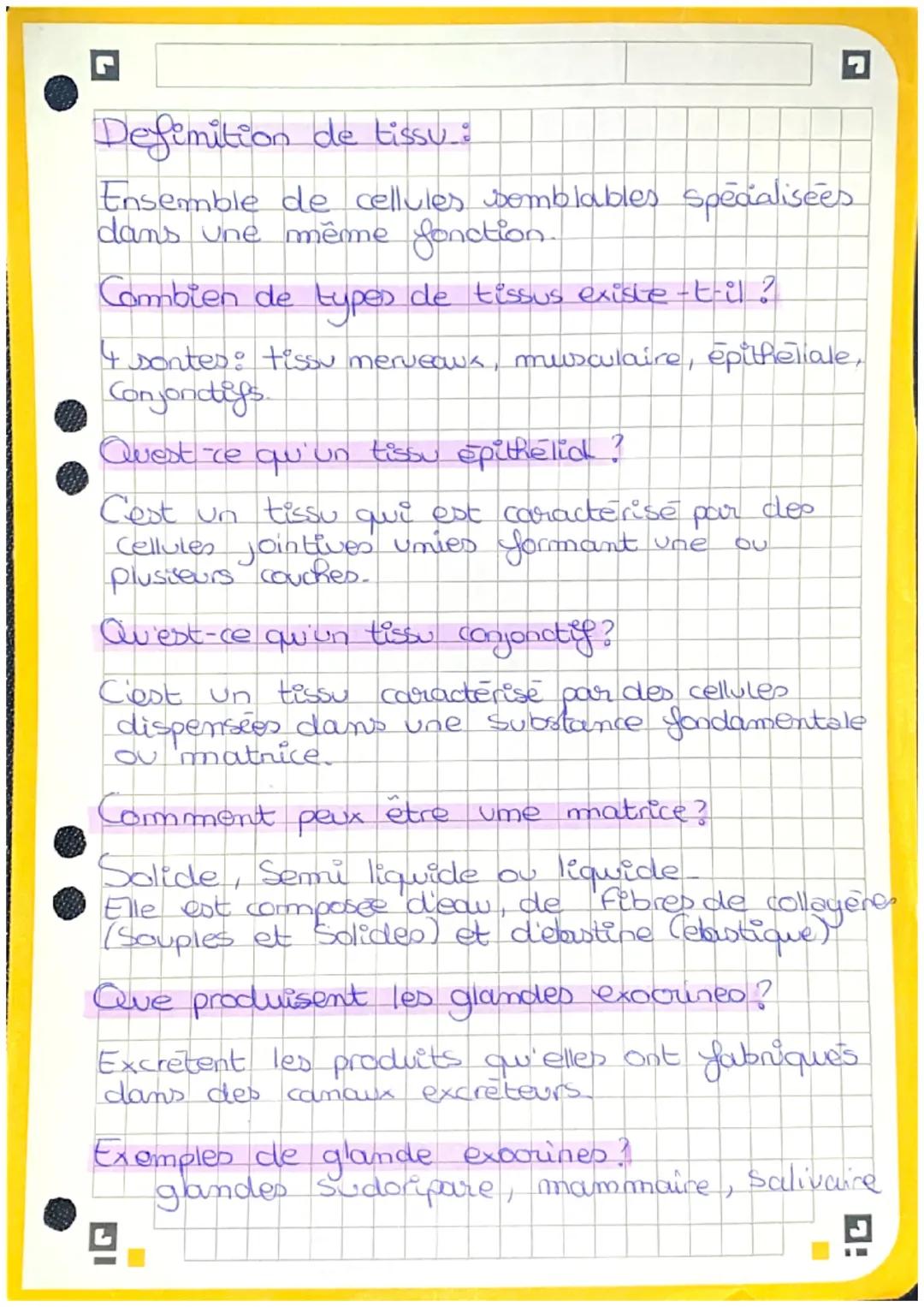 C
Definition de tissu_:
Ensemble de cellules semblables specialisees
dans une même fonction.
Combien de types de tissus existe-t-il?
4 sonte