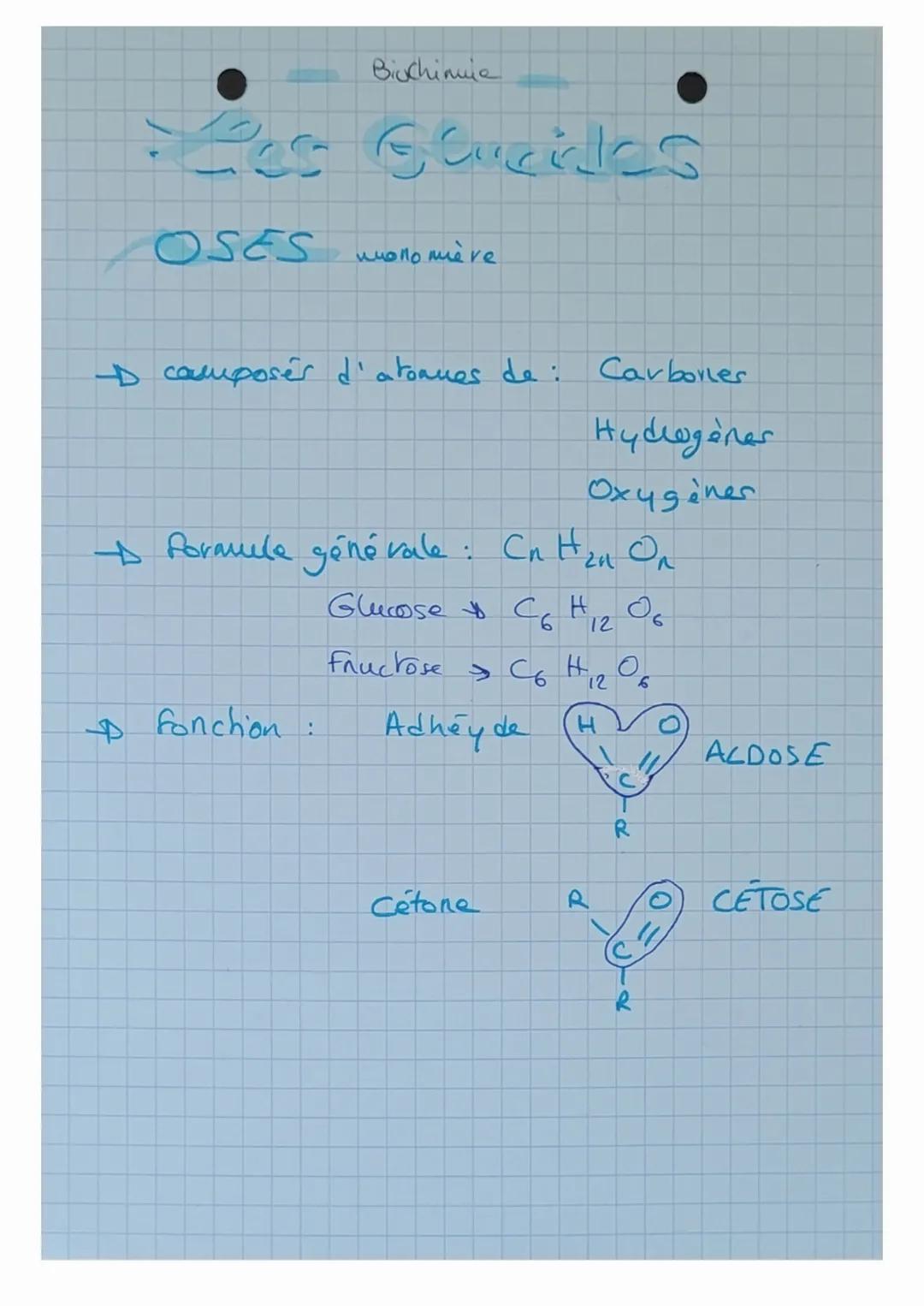 OSIDES polymieres
- Holosides formés uniquement d'oser
Hétélesides formes d'oses et de molécule Mon-
glucidique.
Les Holosides et diholoside
