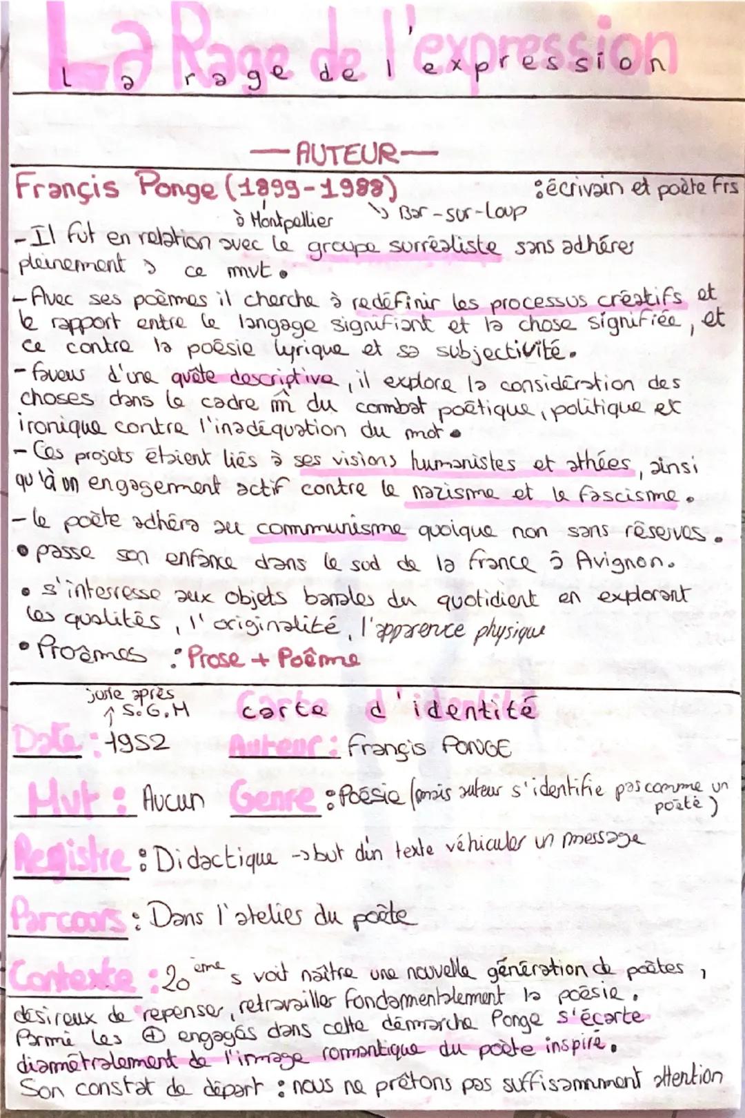 Fiche bac la rage de l’expression