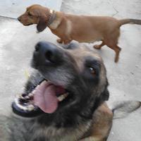 user profile picture