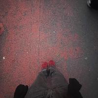 user profile picture