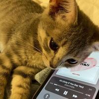 user profile picture